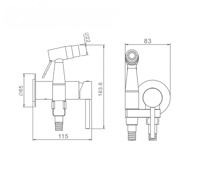 Смеситель с гигиеническим душем, сатин золотой R20.54.03 Raglo