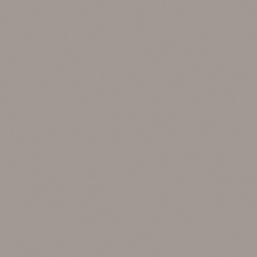 Керамический гранит RW03 60x60 Непол.Рект.